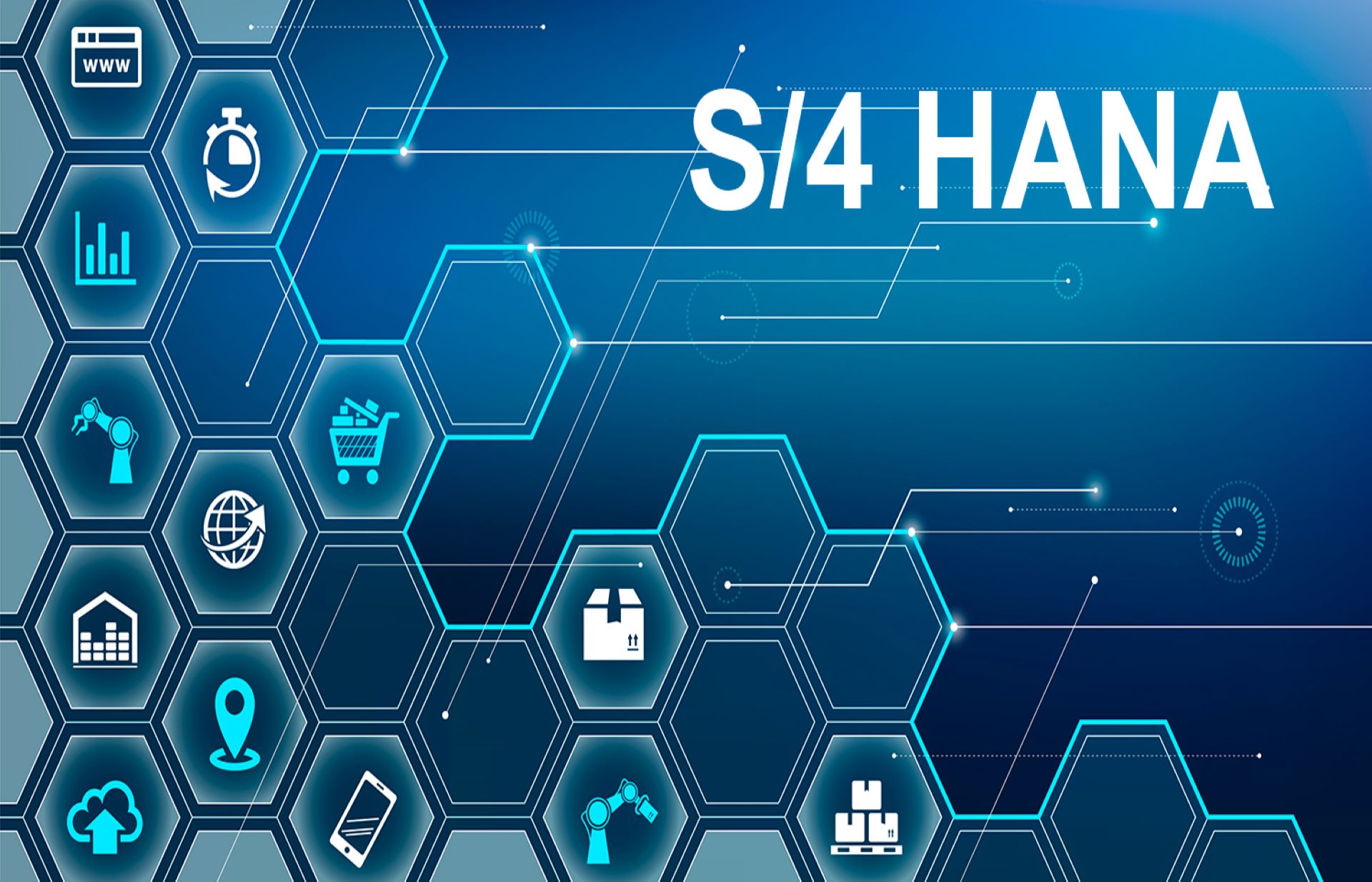 S4/HANA Conversion